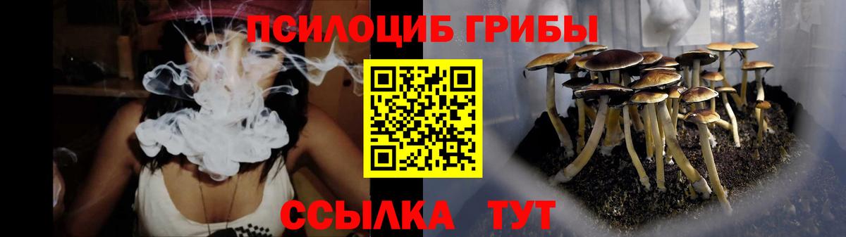 Галлюциногенные грибы Magic Shrooms Чехов